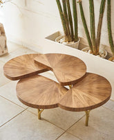 Tree Trunk Coffee Table